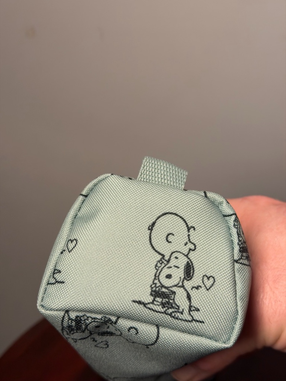Eastpak Light Blue Peanuts 'Take Care' Zip Pouch - Picture 5 of 7